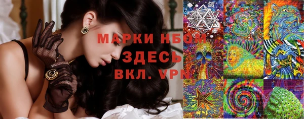 прущие грибы Покров