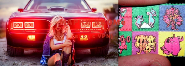 прущие грибы Покров